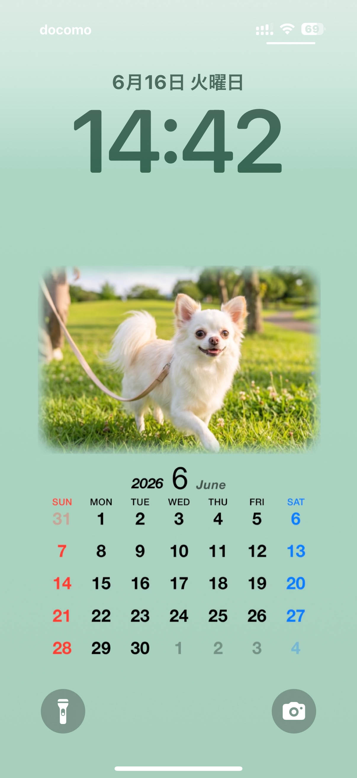 愛犬写真を使ったiPhone壁紙カレンダーのサンプル