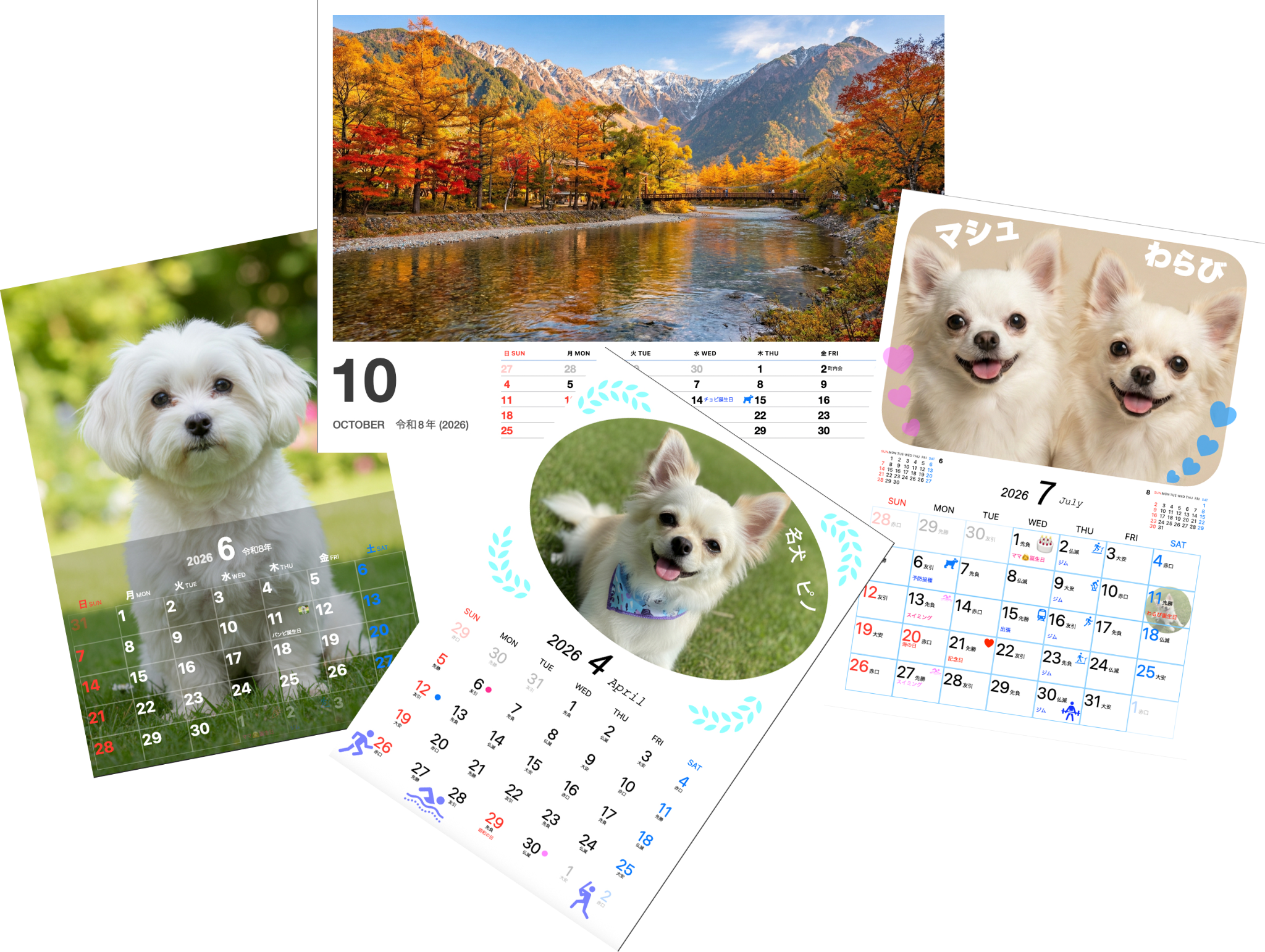 Sample comparison of multiple photo calendar formats