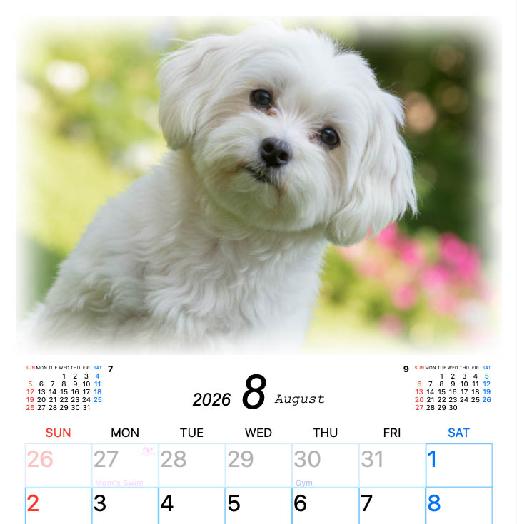 Image editing screen example