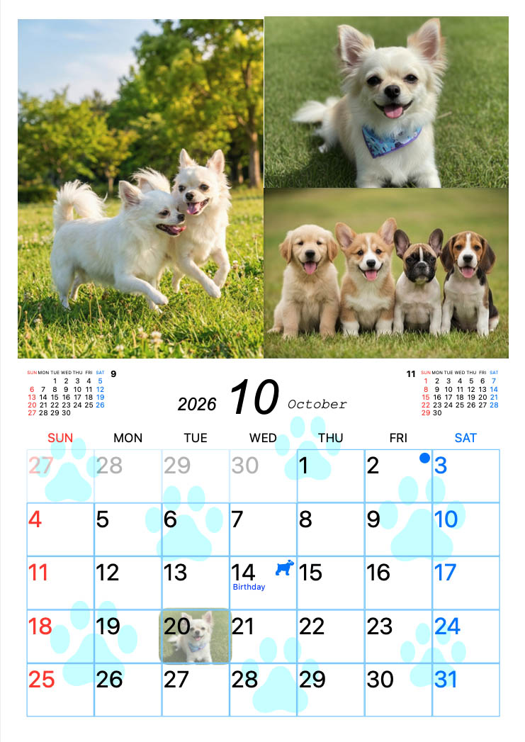 Dog photo sample