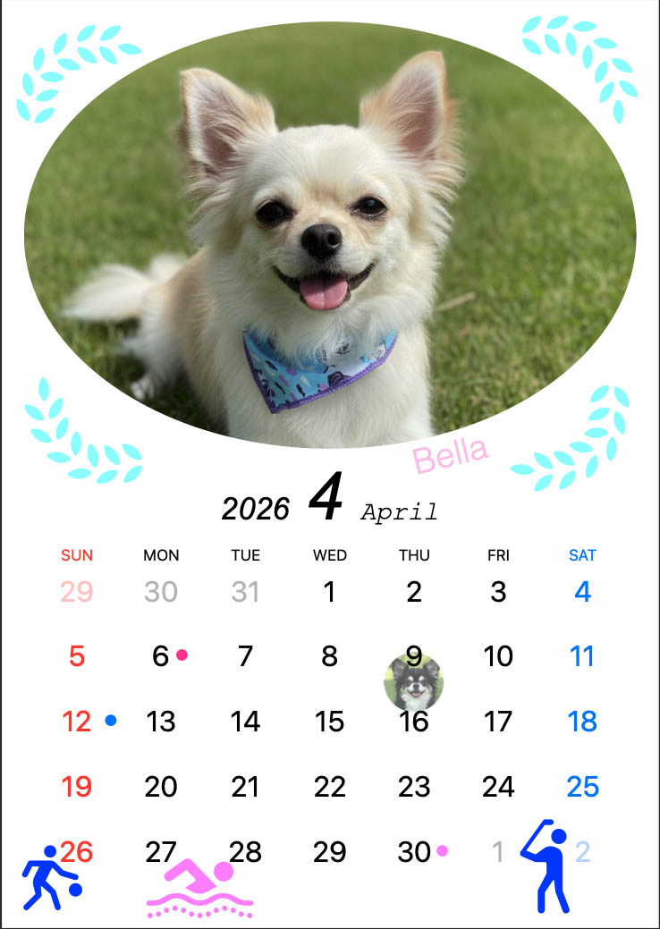 Dog photo sample 2