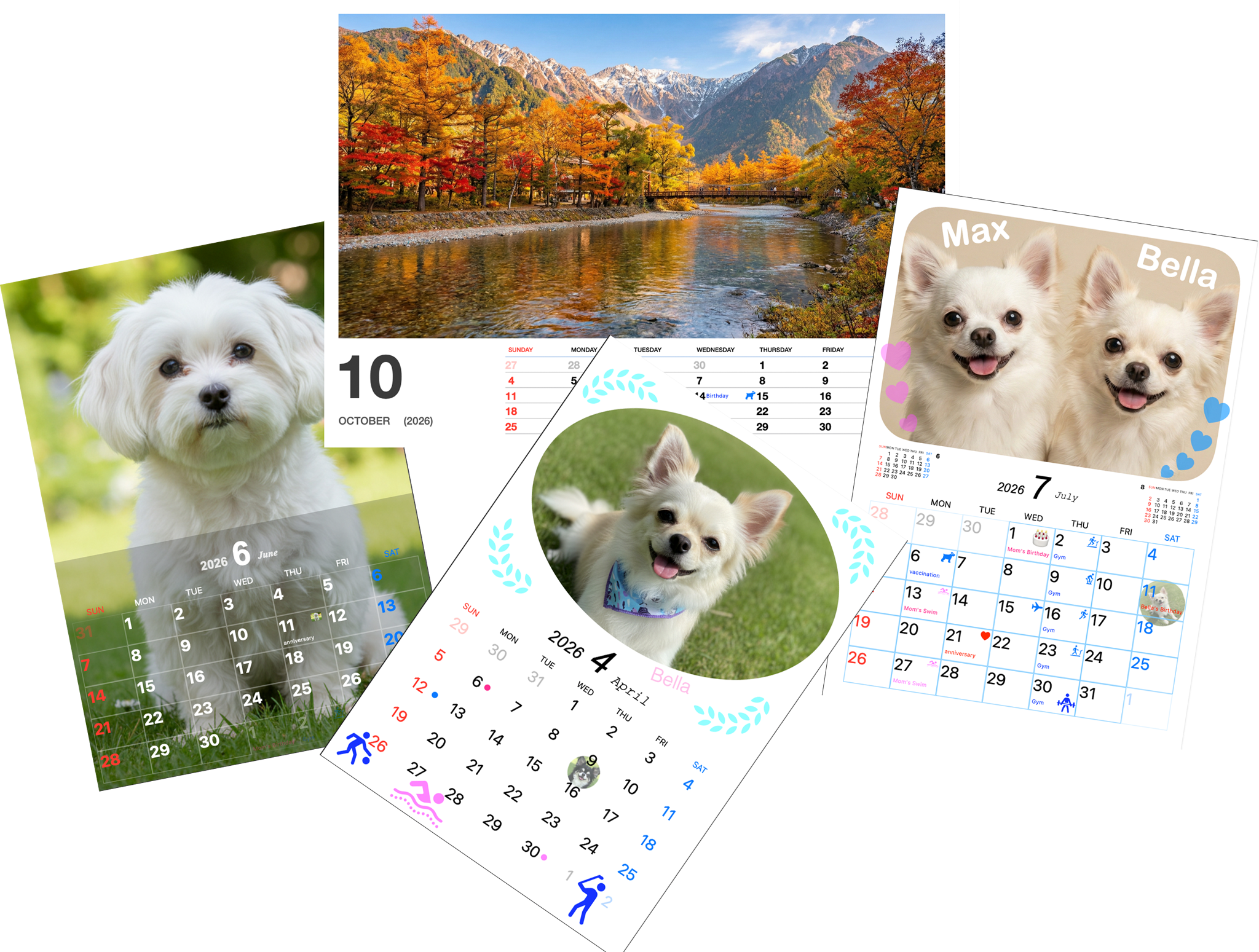 Multiple formats and sample layouts